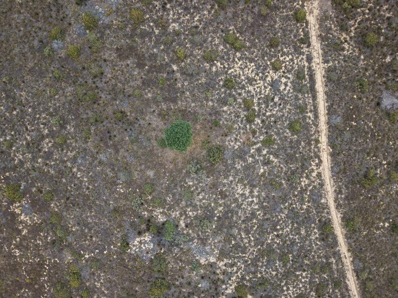 1 Bedroom Property for Sale in Riversdale Western Cape